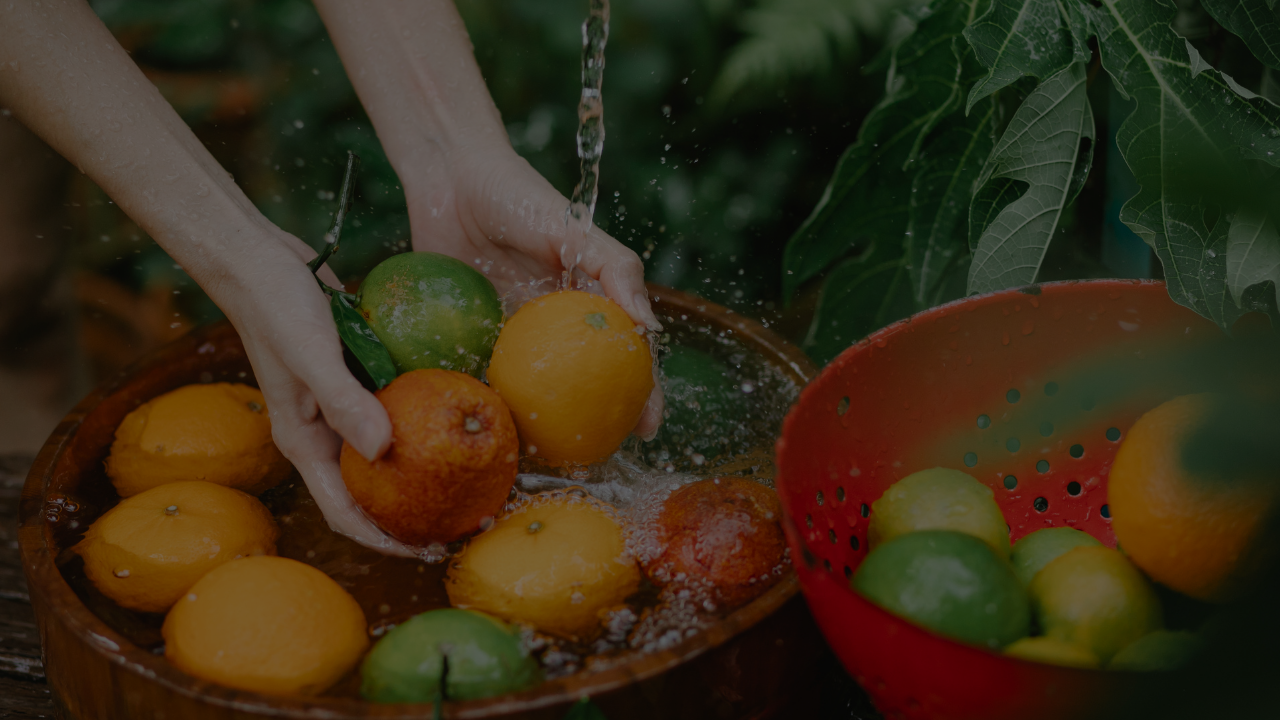 Sustentabilidade e Sabor na sua Cozinha