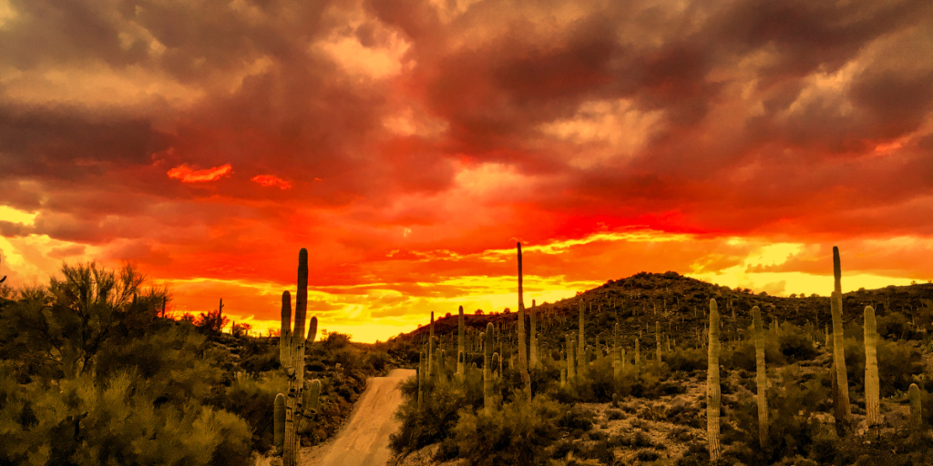 Deserto de Sonora​