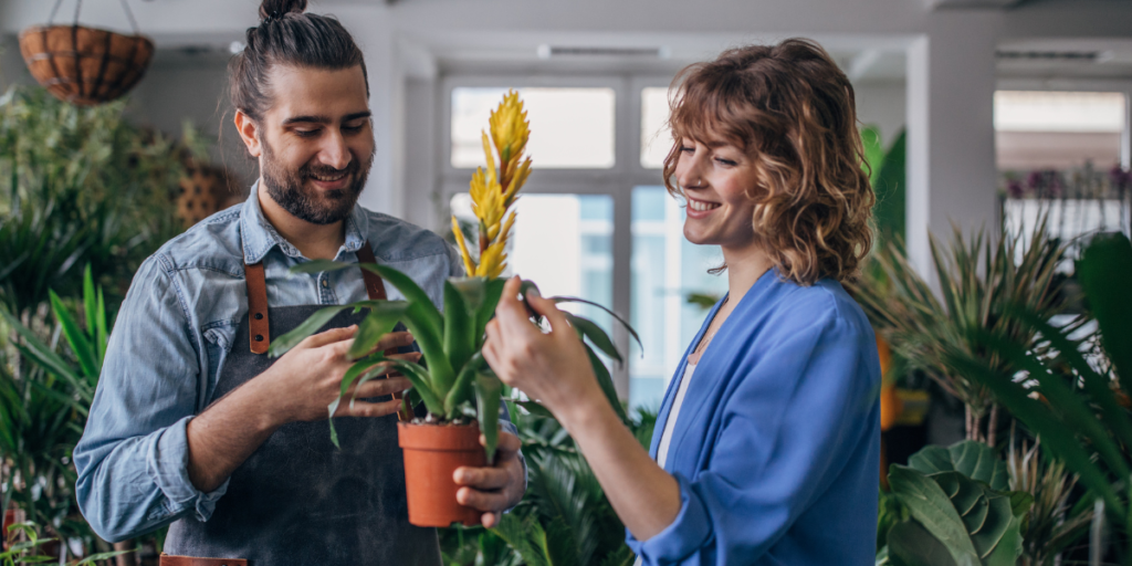 Escolhendo a Orquídea Certa​