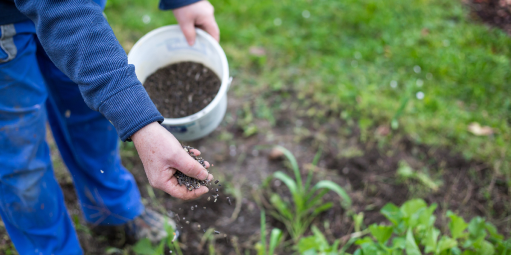 Fertilizando com Sabedoria​