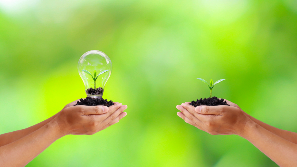 Educação Ambiental