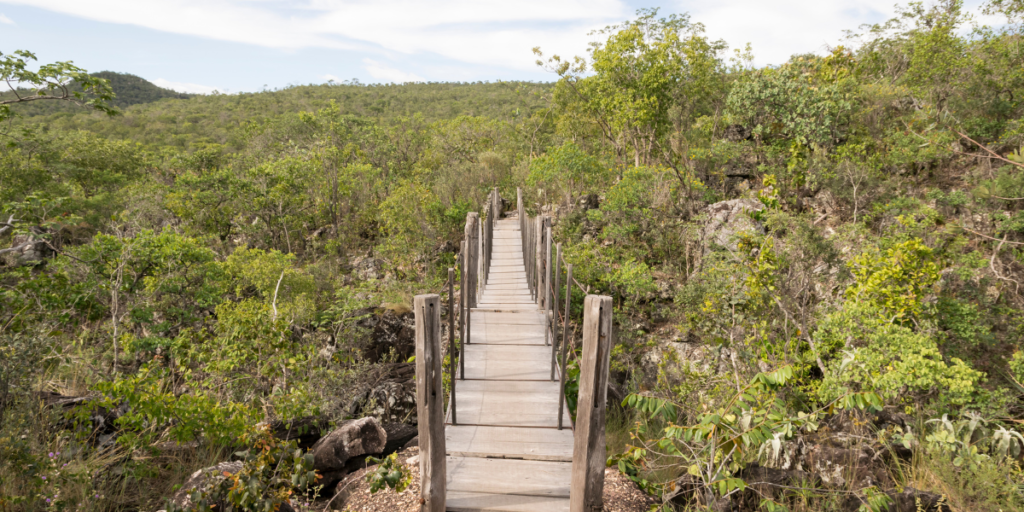 7 Parques Nacionais do Brasil que Você Precisa Conhecer