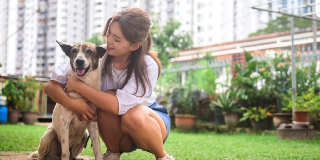 Escolha o cachorro certo para você