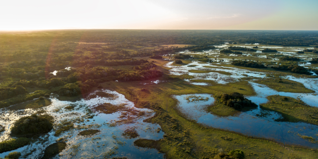 Parque Nacional do Pantanal Matogrossense - Mato Grosso