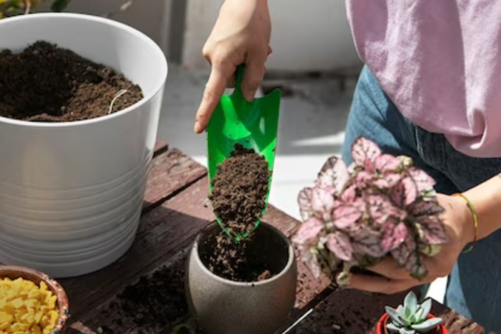 Como manter um jardim de Forma sustentável