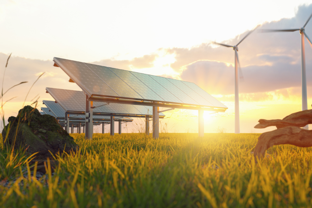 Apoio às Energias Renováveis: Transformando o Futuro