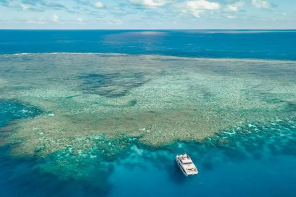 Mergulhe na Grande Barreira de Corais na Austrália