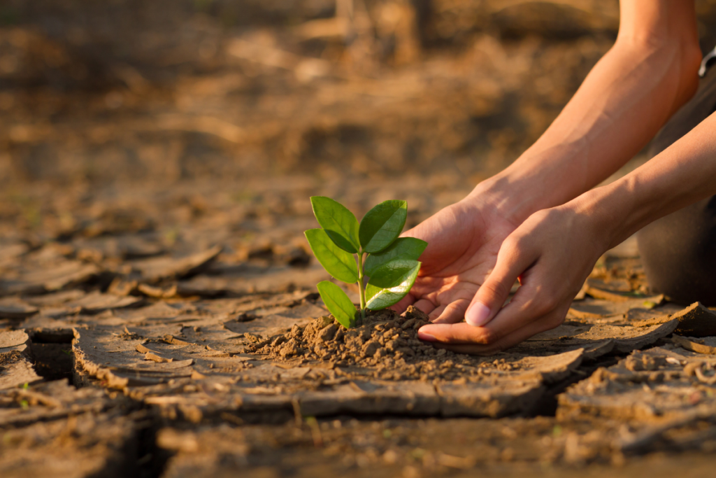 Unindo Forças Contra as Mudanças Climáticas