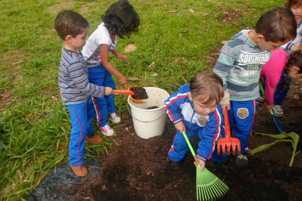 Plantio de Mudas na Creche: Solucionando Dúvidas Comuns