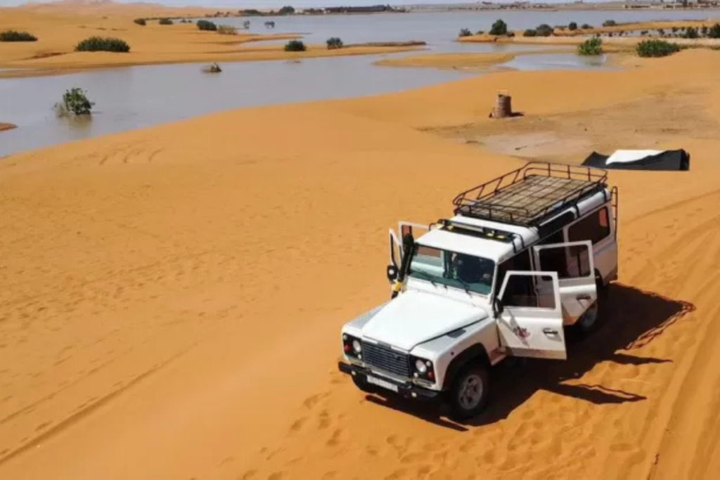 Impacto da chuva no Saara na flora e fauna do deserto