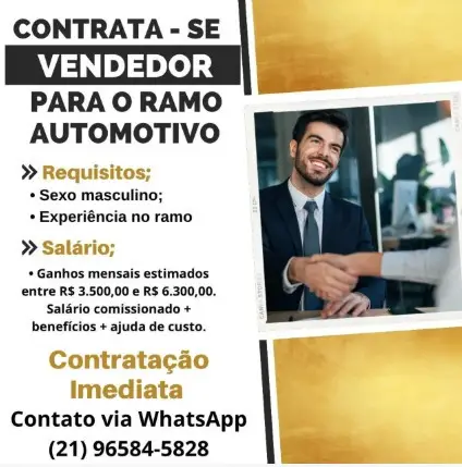 1 Vaga de emprego para Vendedor no Segmento Automotivo em 11/09