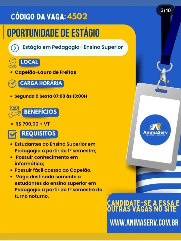 1 Vaga de emprego para Estágio De Pedagogia na empresa Animserv Recursos Humanos em 18/09
