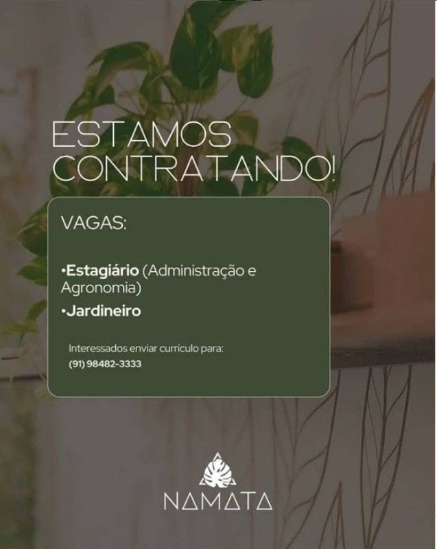 1 Vaga de emprego para Estagio Administração E Agronomia, Jardineiro na empresa NAMATA em 20/09