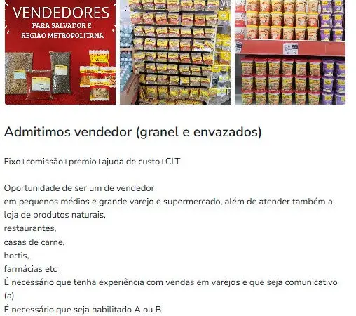 1 Vaga de emprego para Vendedor no Segmento Varejo em 11/09