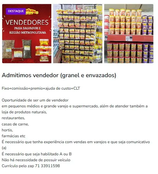 1 Vaga de emprego para Vendedor no Segmento Varejo em 11/09