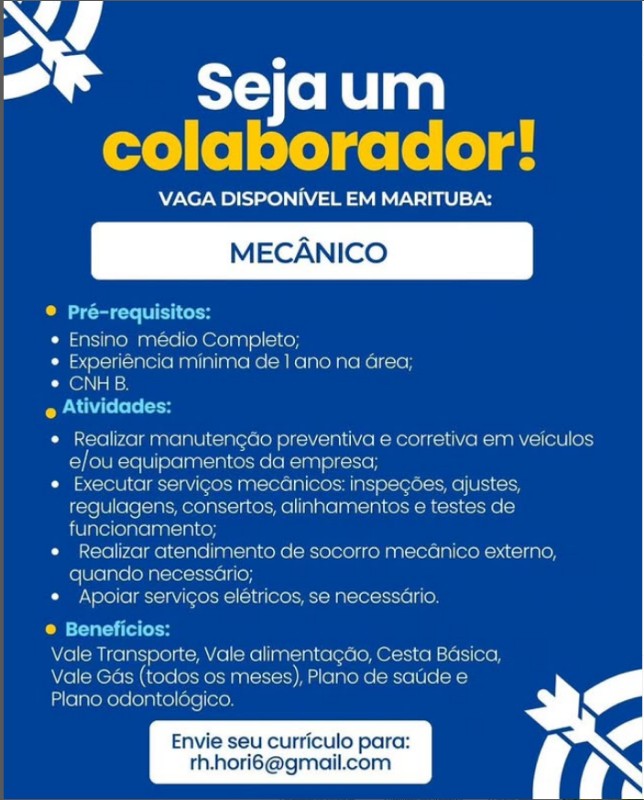 1 Vaga de emprego para Mecânico na CIDADE em 19/09