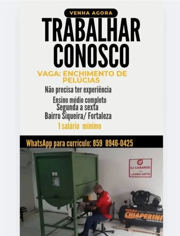 1 Vaga de emprego para Auxiliar De Enchimento De Pelúcias sem experiência no segmento de serviços em 11/09