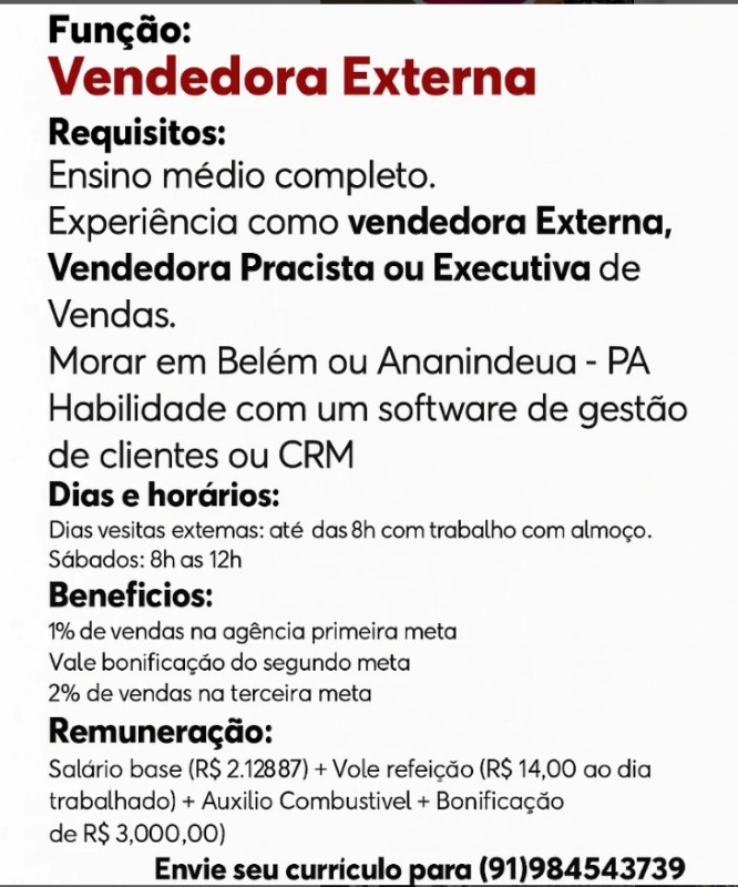 1 Vaga de emprego para Vendedora Externa na CIDADE em 19/09