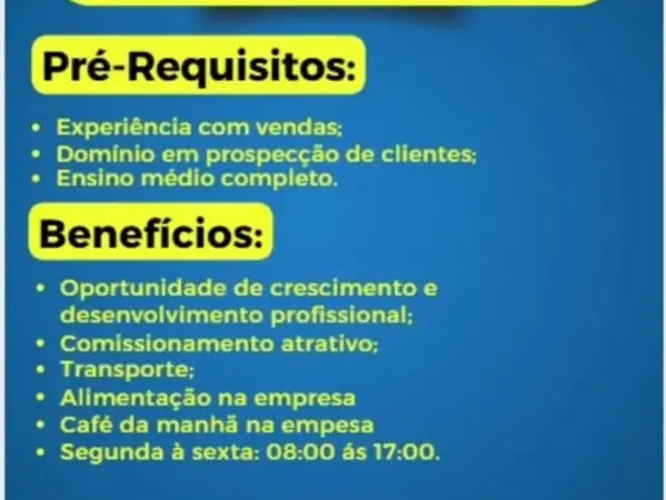 1 Vaga de emprego para Consultor De Vendas Interno no segmento comercial em 10/09