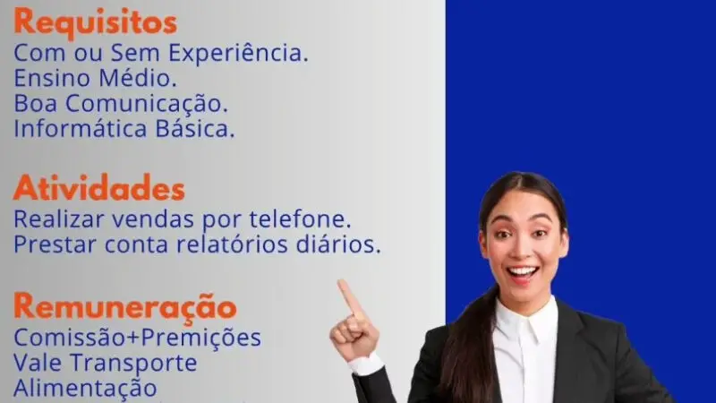 1 Vaga de emprego para Vendedor Interno sem experiência no segmento comercial em 08/09