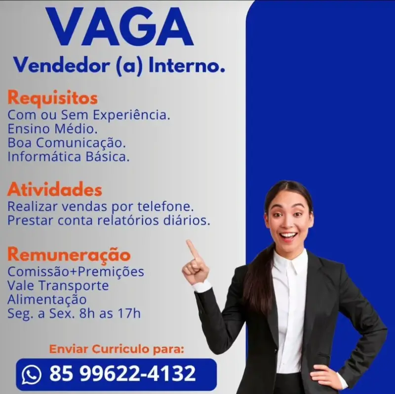 1 Vaga de emprego para Vendedor Interno sem experiência no segmento comercial em 08/09