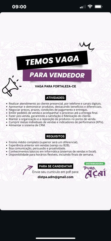 1 Vaga de emprego para Vendedor na empresa Distribuidora Puro Açaí em 12/09