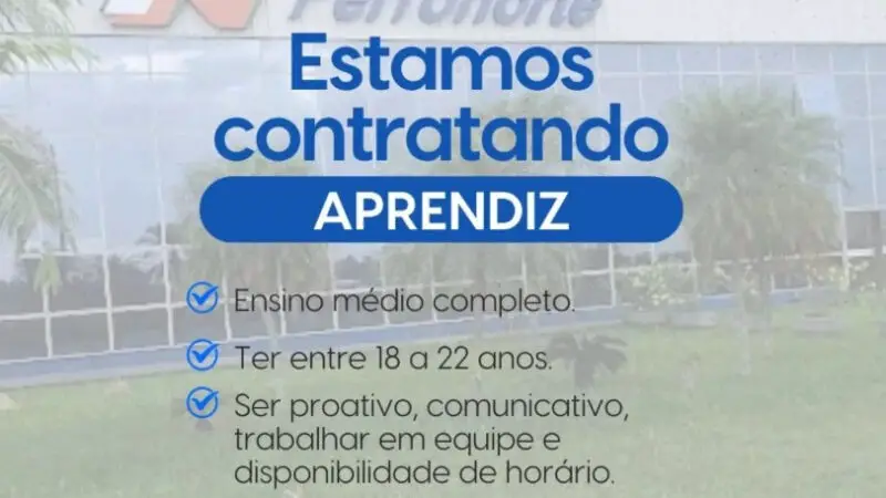 1 Vaga de emprego para Jovem Aprendiz sem experiência na empresa Ferro Norte em 10/09