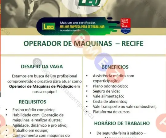 1 Vaga de emprego para Operador De Máquinas sem experiência na empresa Leo Madeiras em 08/09