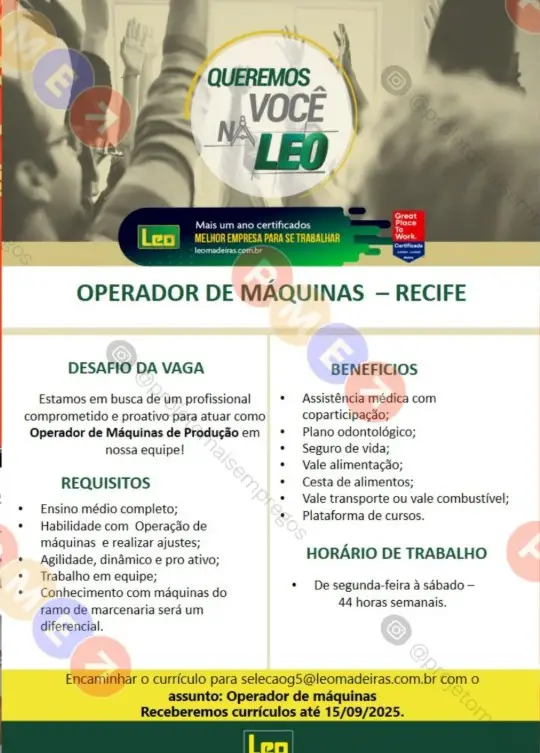 1 Vaga de emprego para Operador De Máquinas sem experiência na empresa Leo Madeiras em 08/09