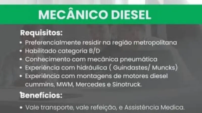 1 Vaga de emprego para Mecânico Diesel na empresa Guindastes Brasil em 09/09