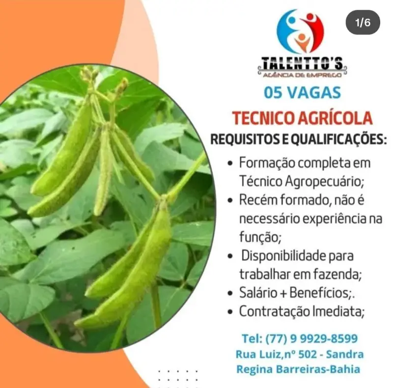 5 Vagas de emprego para Técnico Agrícola sem experiência na empresa Talentto’s Agencia de Emprego em 09/09