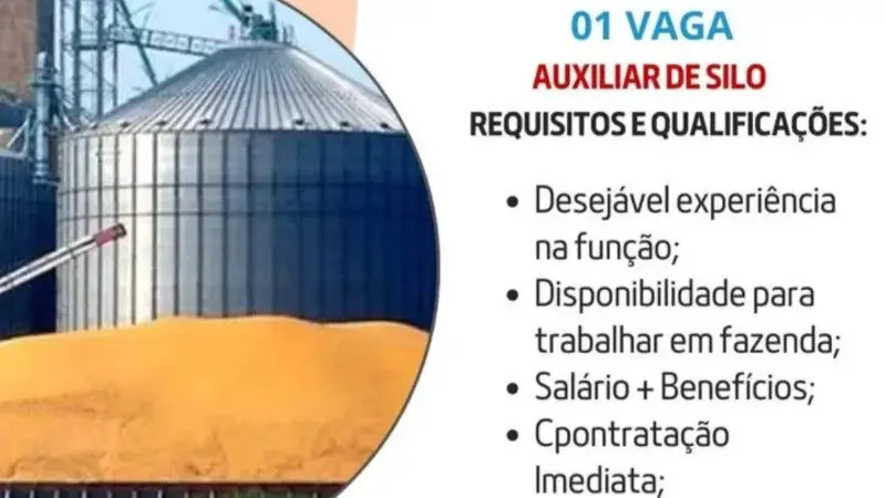 1 Vaga de emprego para Auxiliar De Silo sem experiência na empresa Talentto’s Agencia de Emprego em 09/09