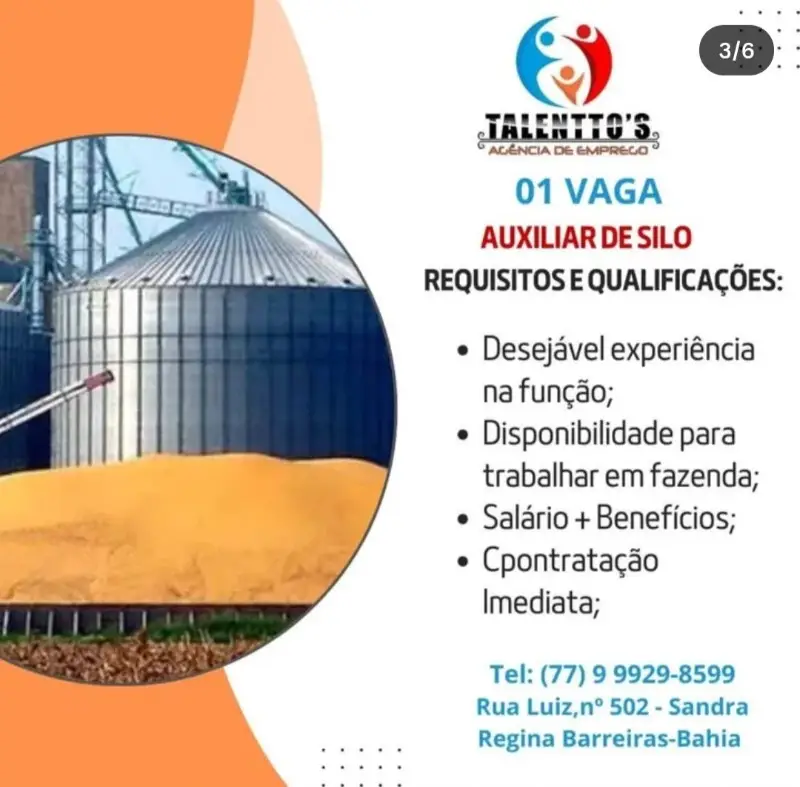 1 Vaga de emprego para Auxiliar De Silo sem experiência na empresa Talentto’s Agencia de Emprego em 09/09