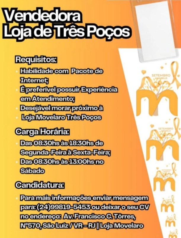 1 Vaga de emprego para Vendedora sem experiência na empresa Loja Movelaro Três Poços em 22/09