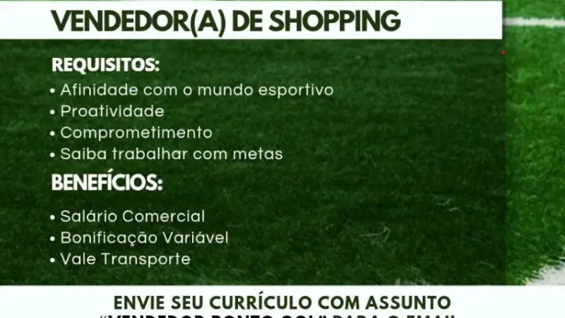 1 Vaga de emprego para Vendedor De Shopping sem experiência na empresa Gol 19 em 08/09