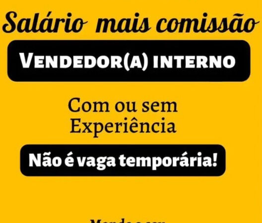 1 Vaga de emprego para Vendedor Interno sem experiência no Segmento comercial em 08/09
