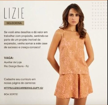 1 Vaga de emprego para Auxiliar De Loja na empresa Lizie em 06/09