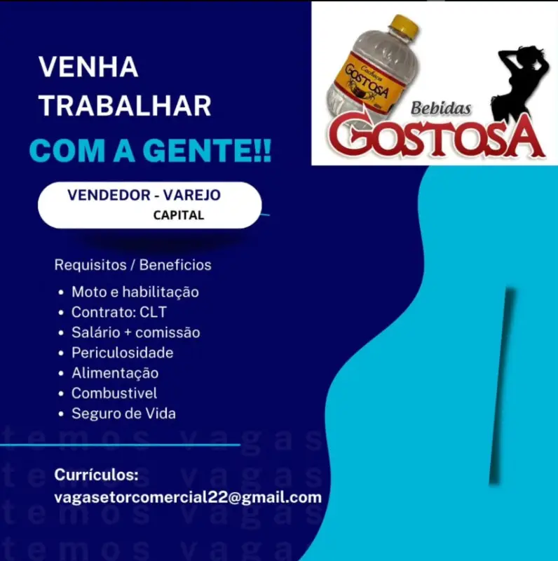 1 Vaga de emprego para Vendedor na empresa Bebidas Gostosa em 10/09