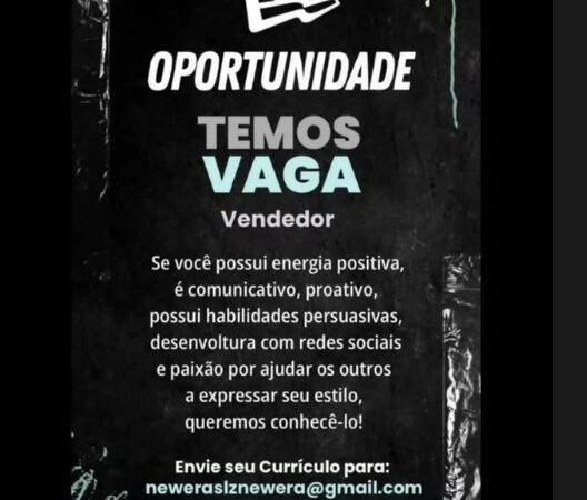 1 Vaga de emprego para Vendedor na empresa New Era em 12/09