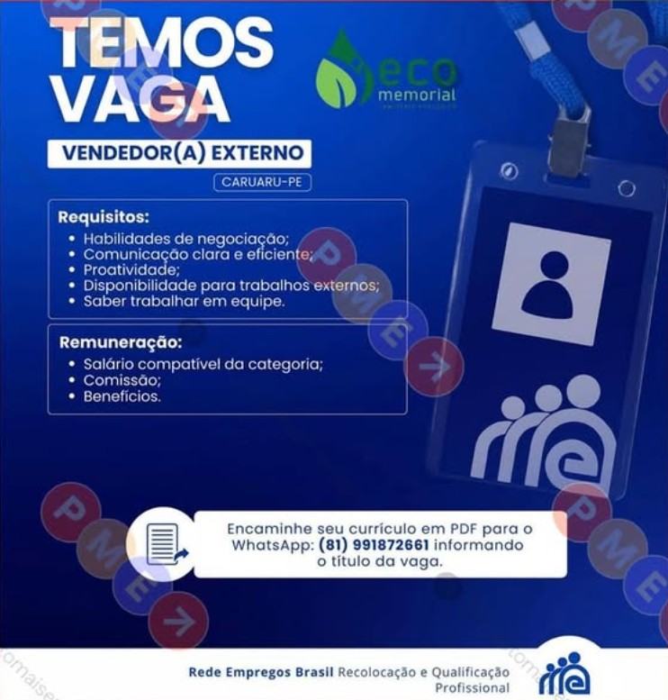 1 Vaga de emprego para Vendedor Exteno sem experiência na empresa Rede Empregos Brasil em 18/09
