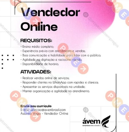 1 Vaga de emprego para Vendedor Online na empresa Ávem em 22/09